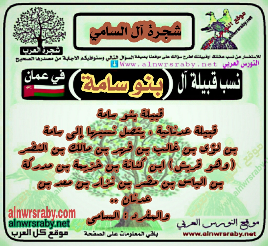اصل ونسب قبيلة بنو سامة‏ في عمان ؟ عائلة آل السامي‏ ويش يرجعون؟ شجرة آل السامي‏ في الجزيرة العربية