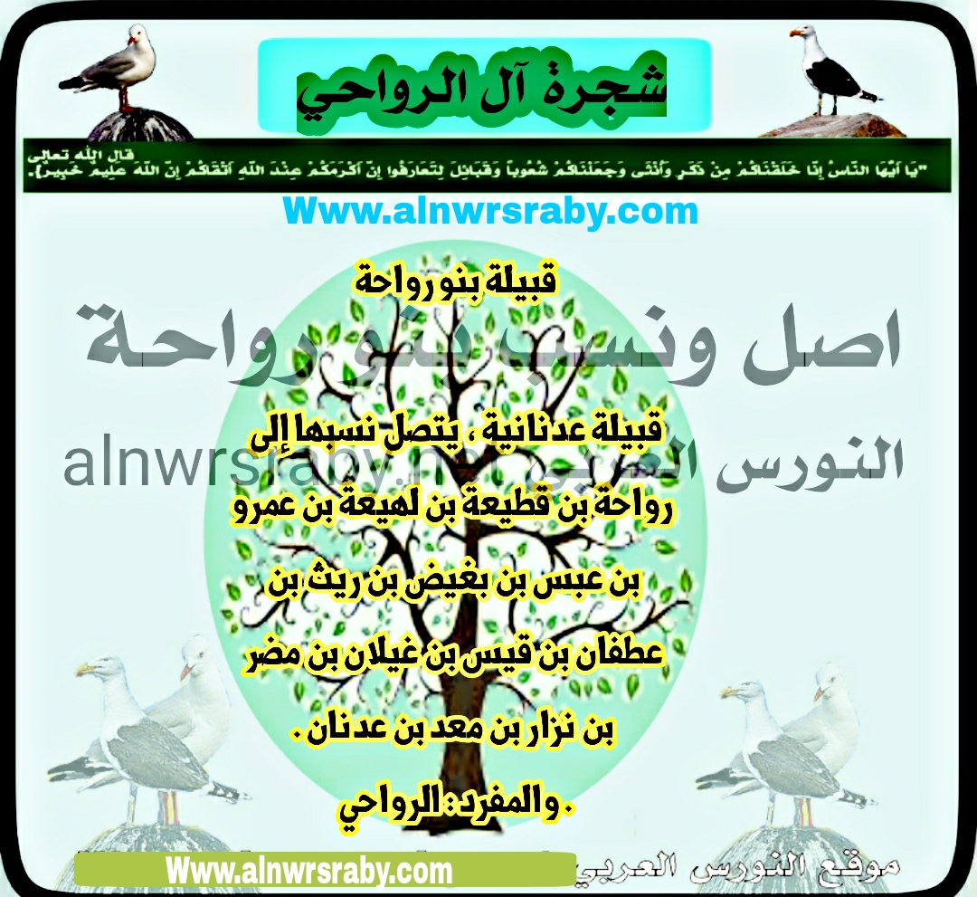 اصل ونسب قبيلة الرواحي  في عمان ؟ عائلة  الرواحي ويش يرجعون؟ شجرة آل رواحة  في الجزيرة العربية