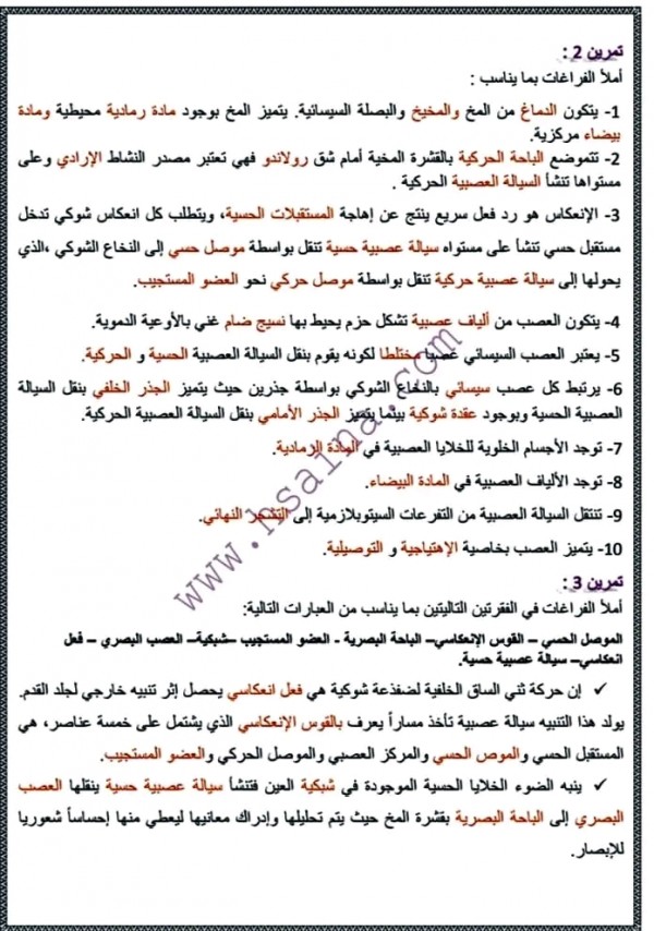 سلسلة تمارين الجهاز العصبي مع التصحيح علوم ثالثة اعدادي
